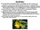 ВЫВОДЫ. Благодаря проделанной работе я понял, что в природе нет ничего лишнего. Так, медведка – гроза садов и огородов, приносит много пользы в дикой природе. Медведку в мире насекомых и растений мне хочется сравнить с хищником – волком среди млекопитающих. Его, как и медведку, нельзя назвать только