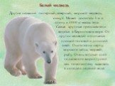 Белый медведь. Другие названия: полярный, северный, морской медведь, ошкуй. Может достигать 3 м в длину и 1000 кг массы тела. Самые крупные представители водятся в Беринговом море. От других медведей отличается плоской головой и длинной шеей. Охотится на нерпу, морского зайца, моржей, рыбу. Очень то