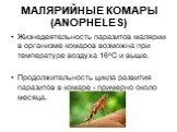 МАЛЯРИЙНЫЕ КОМАРЫ (ANOPHELES). Жизнедеятельность паразитов малярии в организме комаров возможна при температуре воздуха 16оС и выше. Продолжительность цикла развития паразитов в комаре - примерно около месяца.