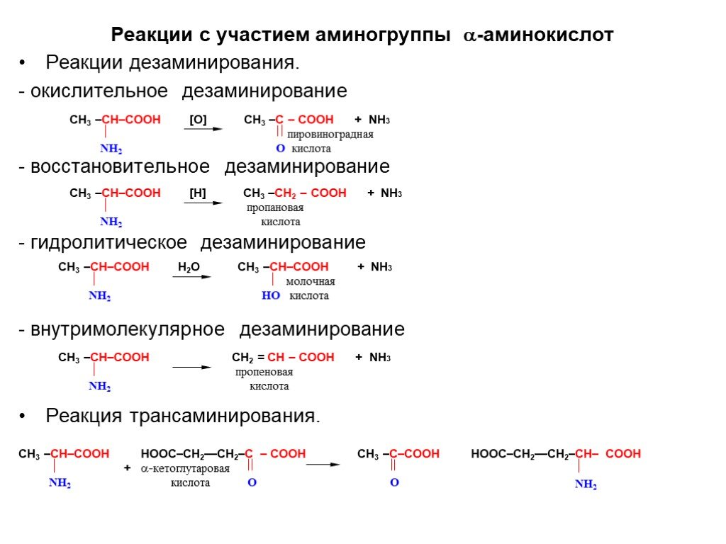 Разложение метана окислительно восстановительная. Восстановительное дезаминирование аминокислот. Реакция дезаминирования Альфа аминокислот. Схема реакции дезаминирования. Прямое дезаминирование аминокислот таблица.