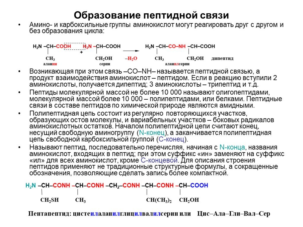 Группы образованы