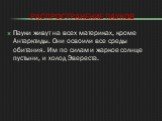 Распространение пауков. Пауки живут на всех материках, кроме Антарктиды. Они освоили все среды обитания. Им по силам и жаркое солнце пустыни, и холод Эвереста.