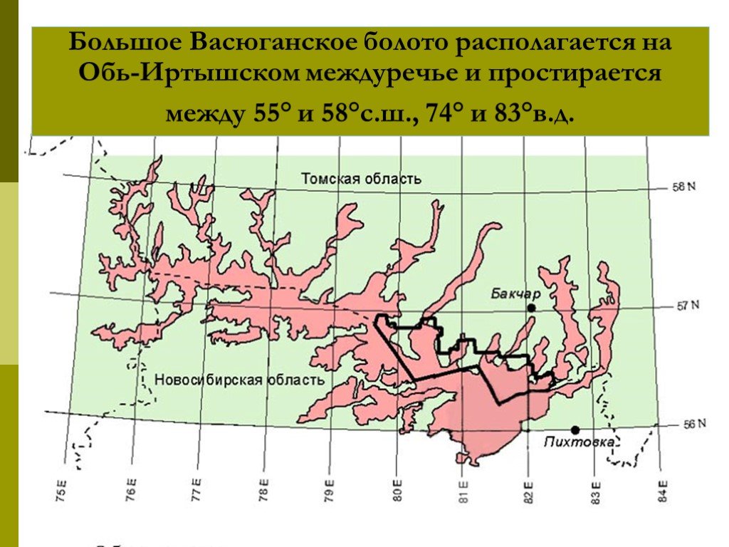 Где находится болотное. Большое Васюганское болото на карте России. Васюганское болото на карте. Граница Васюганских болот на карте. Васюганские болота на карте России.