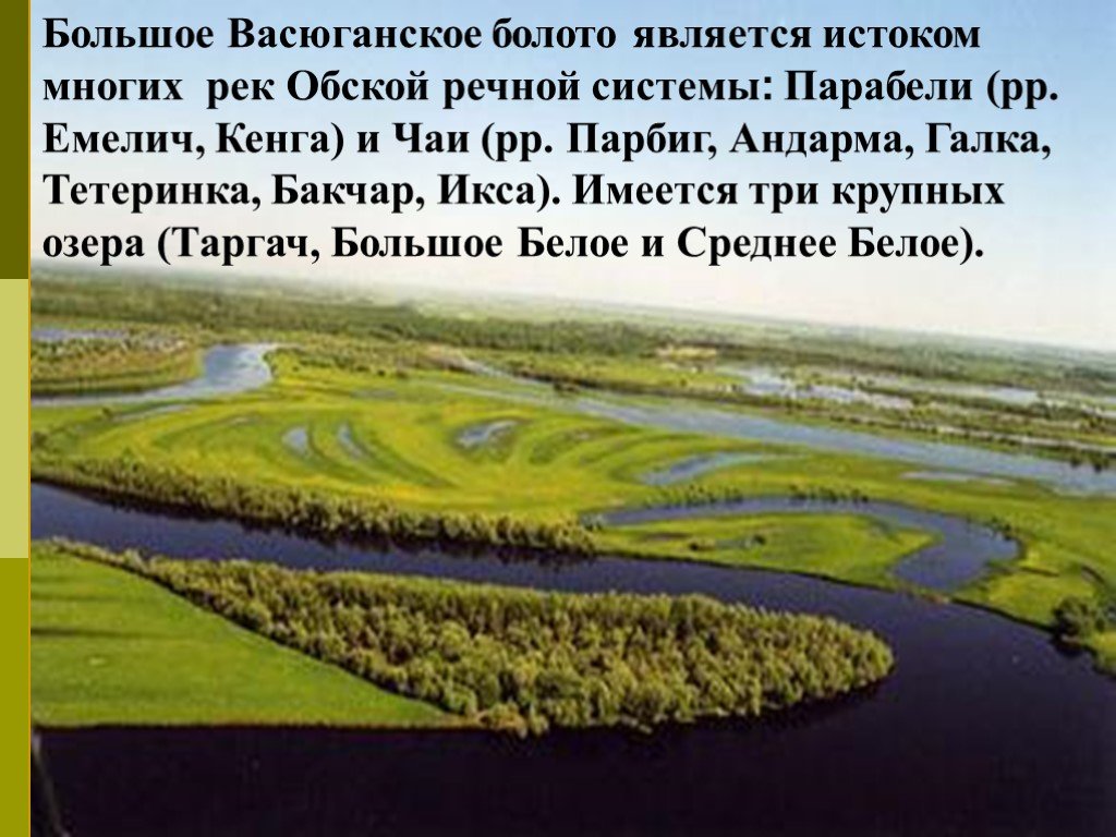 Крупнейшей рекой западной сибири является. Васюганские болота Томская область. Васюганские болота заповедник. Васюганские болота экосистема. Западно Сибирская равнина Васюганское болото.