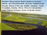 Большое Васюганское болото является истоком многих рек Обской речной системы: Парабели (рр. Емелич, Кенга) и Чаи (рр. Парбиг, Андарма, Галка, Тетеринка, Бакчар, Икса). Имеется три крупных озера (Таргач, Большое Белое и Среднее Белое).