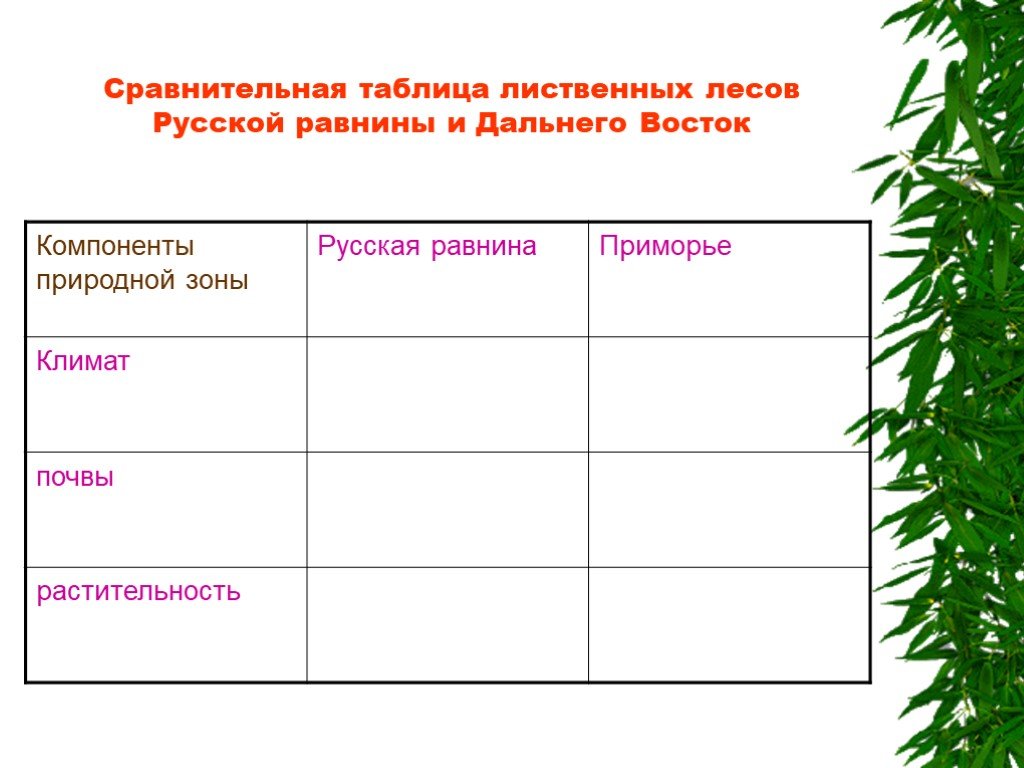 Муссонные леса таблица. Природные зоны русской равнины таблица 8 класс география. Природные компоненты дальнего Востока таблица. Таблица лесов России 8 класс география. Таблица по географии 8 класс разнообразие лесов России.