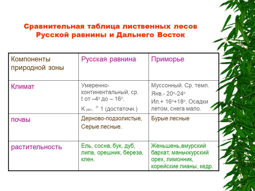 Сходства и различия западной и восточной сибири. Таблица по географии Лесные зоны. Таблица зона лесов 8 класс. Природные зоны русской равнины таблица. Природные зоны смешанных и широколиственных лесов таблица.