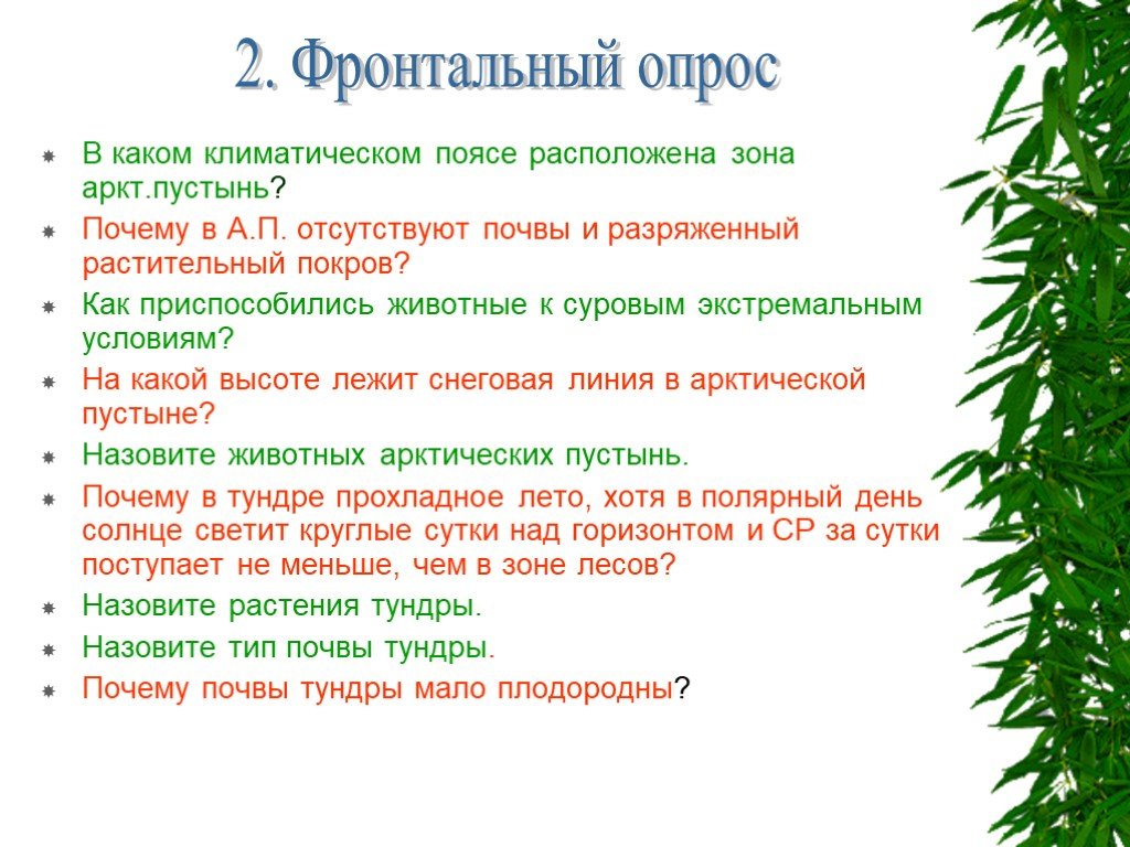 Презентация лесные зоны россии 8 класс полярная звезда