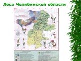 Леса Челябинской области