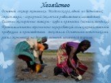 Хозяйство. Основной сектор экономики Мадагаскара, одной из беднейших стран мира, - аграрный (включая рыболовство и лесоводство). Главные экспортные товары - кофе и пряности (ваниль, гвоздика). Промышленность ограничена переработкой сельскохозяйственной продукции и производством текстиля. Основными и