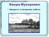 Озеро Мусерское. Находится в Санчурском районе