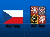 Герб Чехии Флаг Чехии