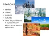SEASONS. WINTER SPRING SUMMER AUTUMN There are four seasons in a year, they are winter, spring, summer and autumn.