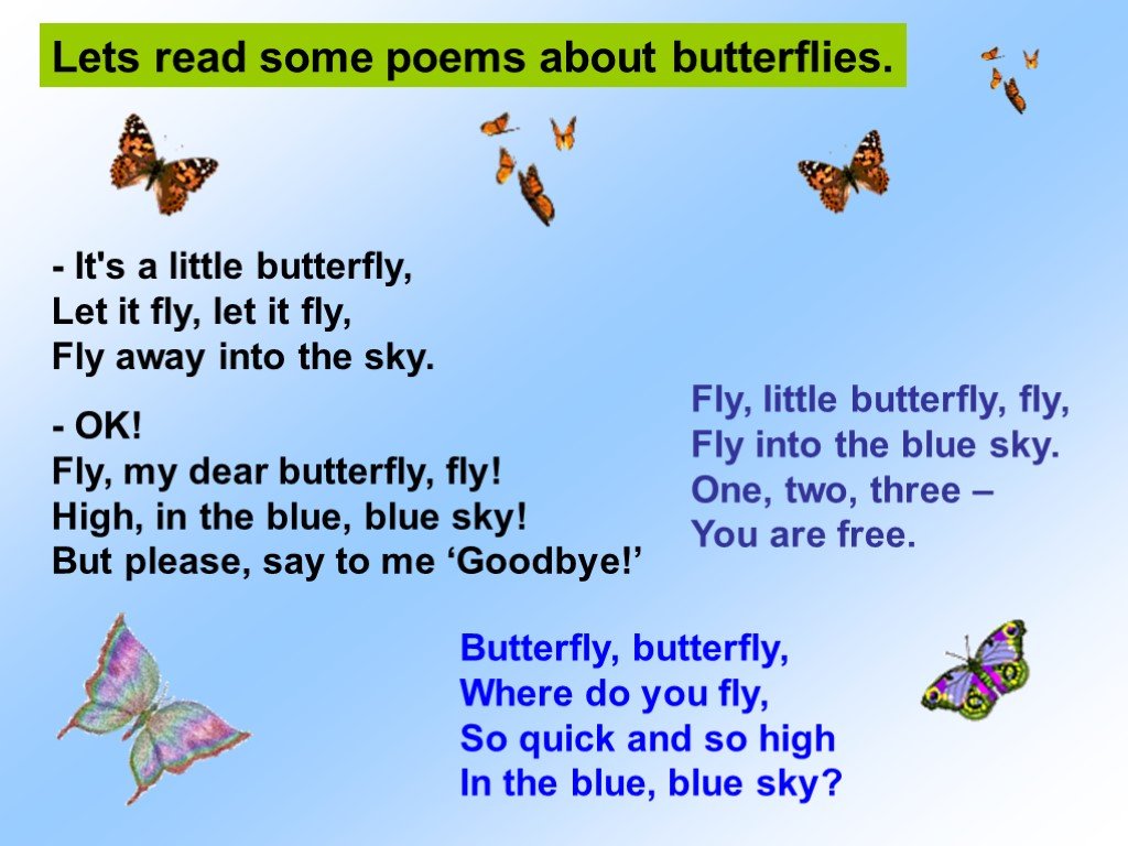 A little fly. Стих про бабочку на английском. Информация о бабочках на английском. Рассказ про бабочку на английском языке. Доклад по английскому языку про бабочку.