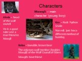Characters. Kaa – Rock Python Snake Not evil; just has a different method of hunting. Akela – head of the wolf council He is a good ruler and a true friend to Mowgli. Mowgli – main character (young boy). Baloo – loveable, brown bear. The only non-wolf member (besides Mowgli) of the Wolf Council of E