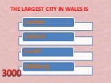 The largest city in Wales is 3000