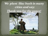 We plant lilac bush in many cities and say: Thank you for the peace!