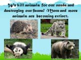 We kill animals for our needs and destroying our fauna! More and more animals are becoming extinct.