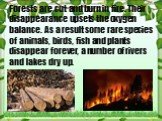 Forests are cut and burn in fire. Their disappearance upsets the oxygen balance. As a result some rare species of animals, birds, fish and plants disappear forever, a number of rivers and lakes dry up.