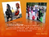 Subculture-is a group of people within a culture that differentiates itself from the parent culture to which it belongs, often maintaining some of its founding principles. Babich Alexandra