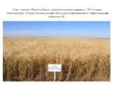 Сорт ячменя Памяти Раисы допущен к использованию с 2014 года по Акмолинской, Северо-Казахстанской, Восточно-Казахстанской и Карагандинской областям РК.