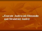 Execute: Andrusiak Olexander and Struletskiy Andriy