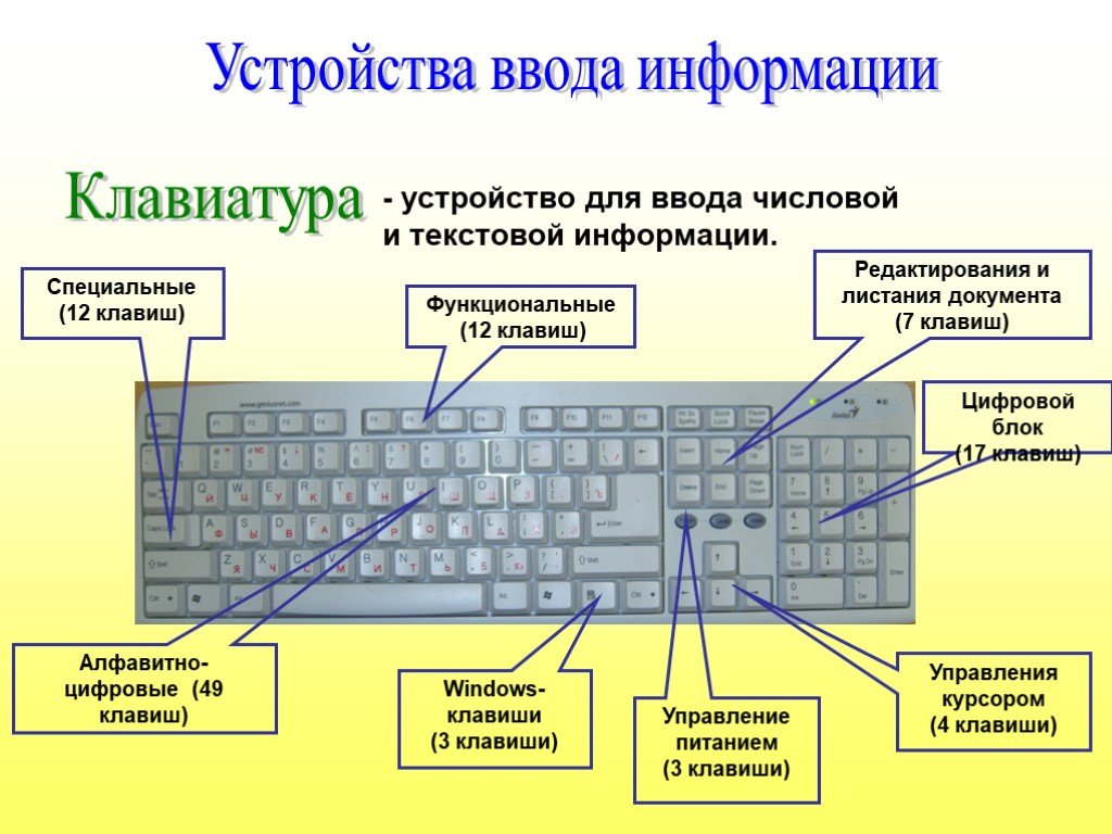Клавишу введите код. Строение клавиатуры. Устройство кнопки клавиатуры. Функциональные клавиши на клавиатуре. Устройство клавиатуры компьютера.