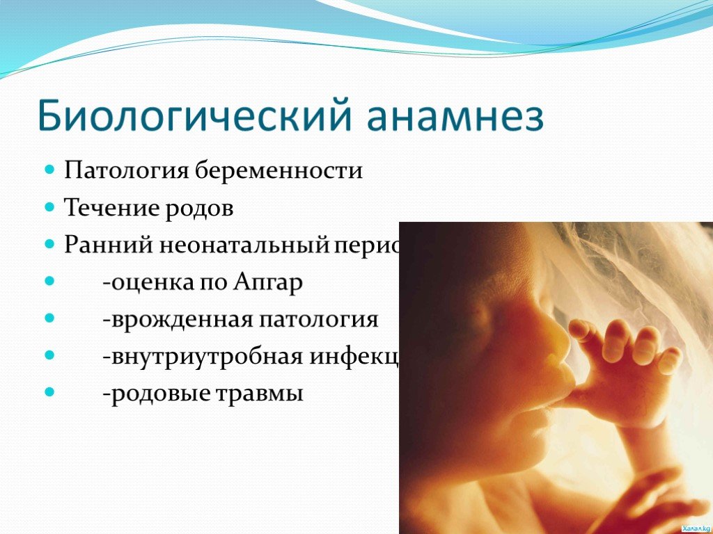 Анамнез по беременности и родам. Патология беременности. К патологии беременности относят. Патология беременности презентация. Биологический анамнез факторы.