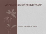 Проект: Шабуровой Саши. Мариинский оперный театр.