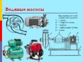 Водяные насосы. Циркуляционный насосный агрегат: 1 – насос, 2 – подшипники, 3 – муфта, 4 – электродвигатель, 5 - рама