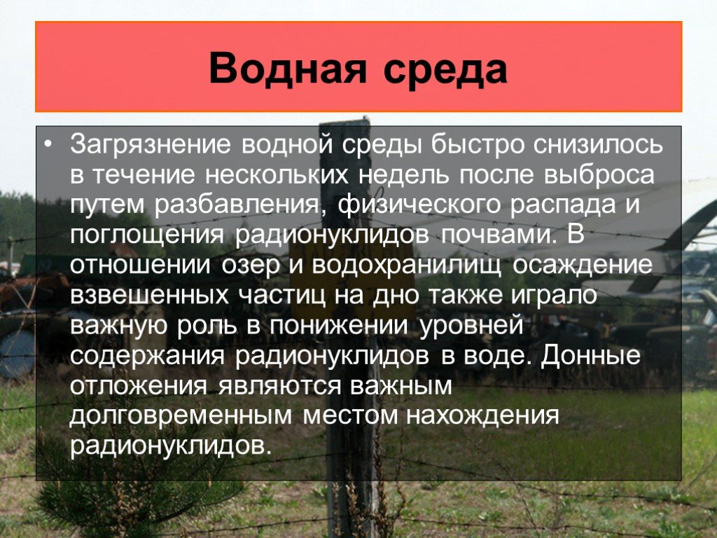 Последствия чернобыльской аварии презентация по экологии