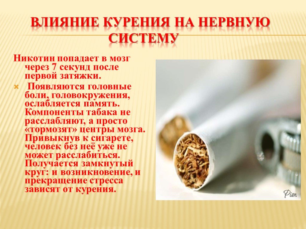 Что можно вместо сигарет. Воздействие курения на нервную систему. Влияние курения табака на нервную систему. Курение и нервная система. Курение влияет на давление.