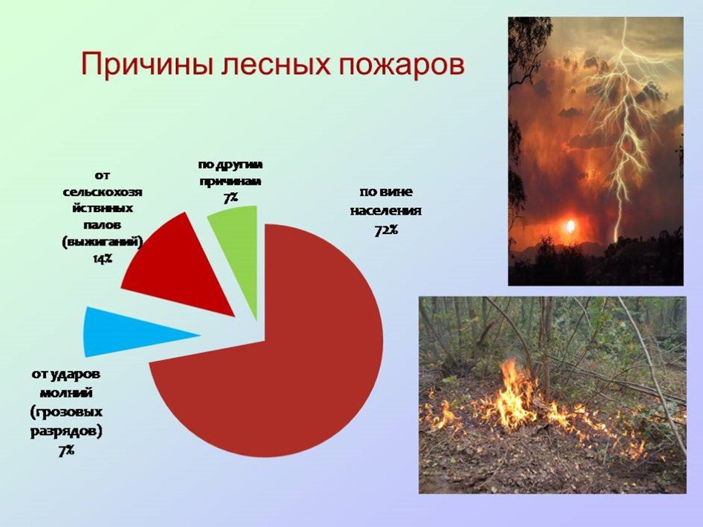 Каковы основные причины лесных пожаров. Причины природных пожаров. Причины пожара в лесу. Причины возникновения лесных пожаров. Причины возникновения пожаров природные и антропогенные.