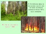 В Алтайском крае, за последние десять лет, по вине человека возникло более 80 % всех пожаров. Их число составило около 7 000