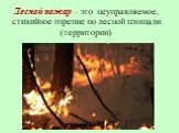Лесной пожар – это неуправляемое, стихийное горение по лесной площади (территории)