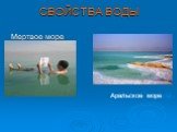 СВОЙСТВА ВОДЫ Мертвое море Аральское море