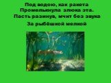 Под водою, как ракета Промелькнула злюка эта. Пасть разинув, мчит без звука За рыбёшкой мелкой