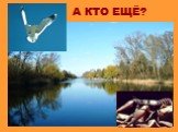 А КТО ЕЩЁ?