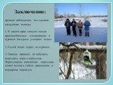 Заключение: проведя наблюдения, мы сделали следующие выводы 1. В нашем крае зимуют только приспособленные к выживанию в суровых погодных условиях птицы. 2. Сытой птице мороз не страшен. 3. Главное правило: не забывать подсыпать корм в кормушки. Нерегулярное наполнение кормушки может вызвать гибель п