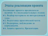 Этапы реализации проекта. Реализация проекта предполагала наличие 4-х последовательных этапов: 1. Подбор материала по интересующей теме. 2. Подготовка практической части. 3. Подкормка, наблюдение за кормушками. 4. Защита проекта. Презентация.