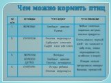 Чем можно кормить птиц