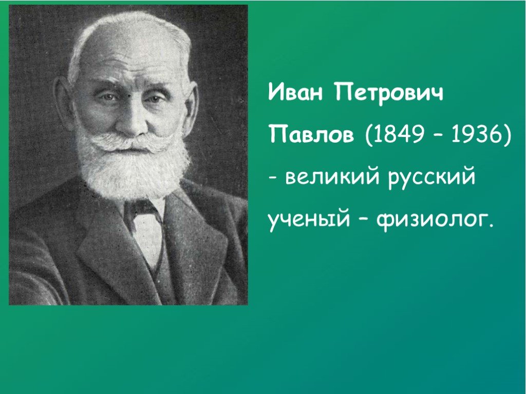 Иван петрович павлов презентация на английском языке