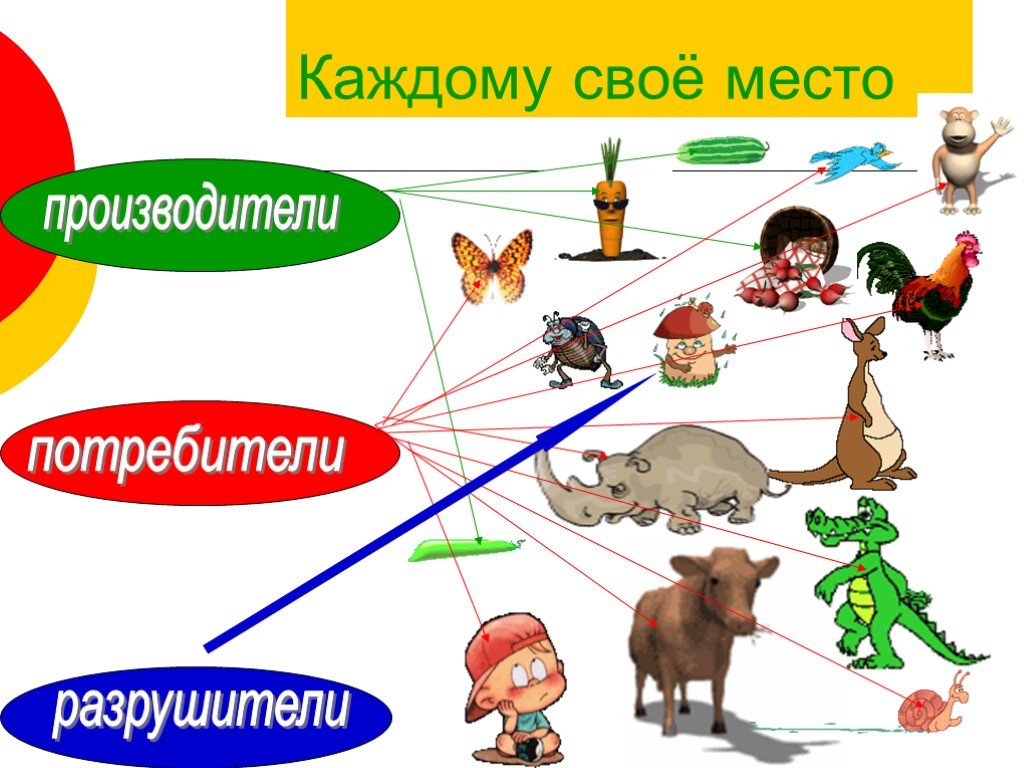 Круговорот веществ модель 3 класс окружающий мир. Производители потребители Разрушители. Великий круговорот жизни потребители. Великий круговорот жизни 3 класс. Великий круговорот жизни производители потребители Разрушители.