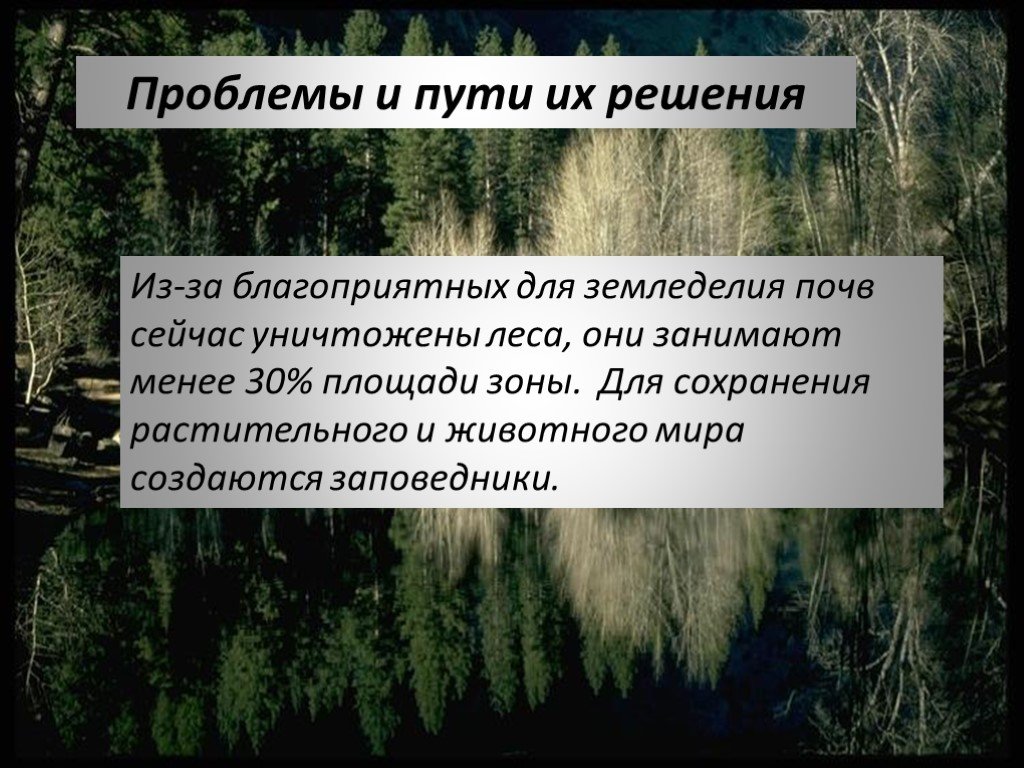 Проблемы леса в россии