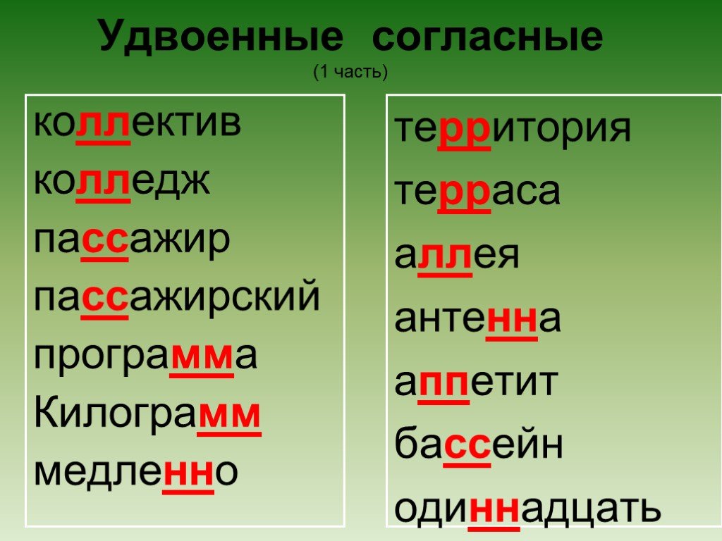 Запиши пять слов. Слова с удвоенными согласными 2 класс правило примеры. Двойные согласные 2 класс правило. Написание слов с удвоенными согласными 4 класс. 5 Словарных слов с удвоенной согласной.