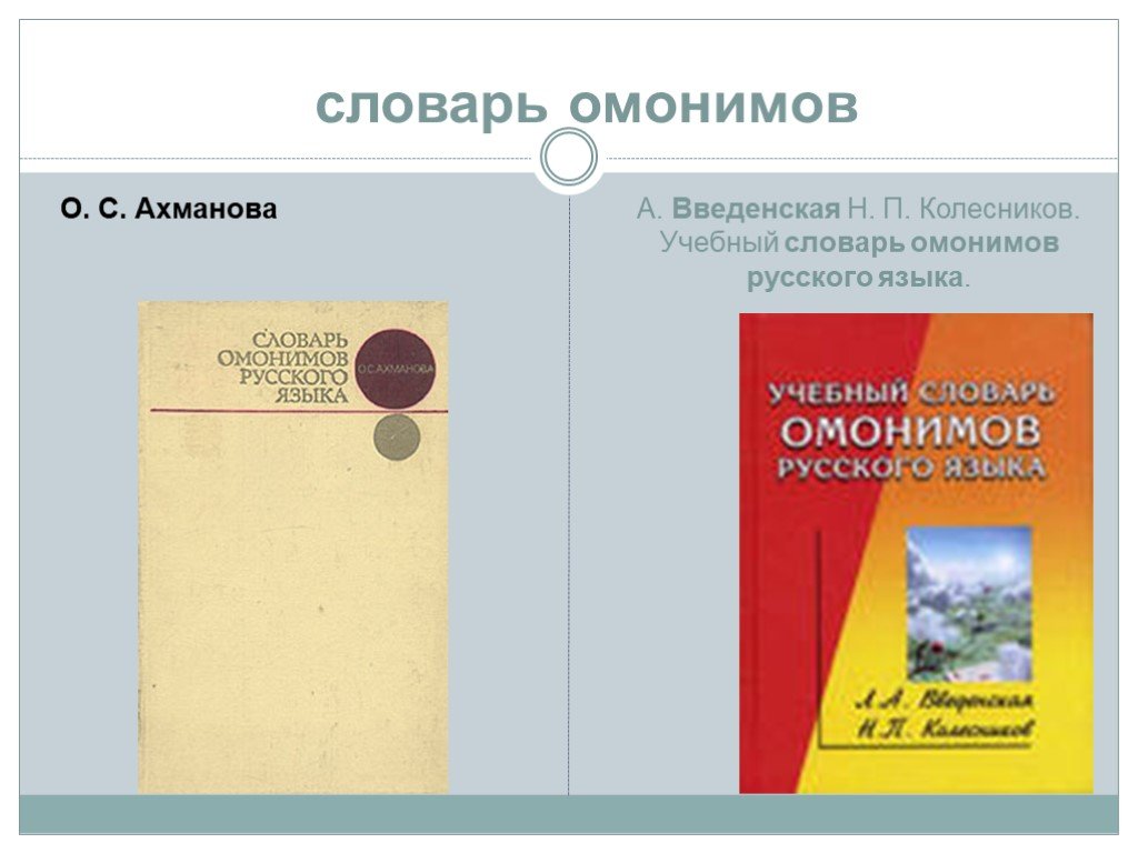 Словарь паронимов и омонимов