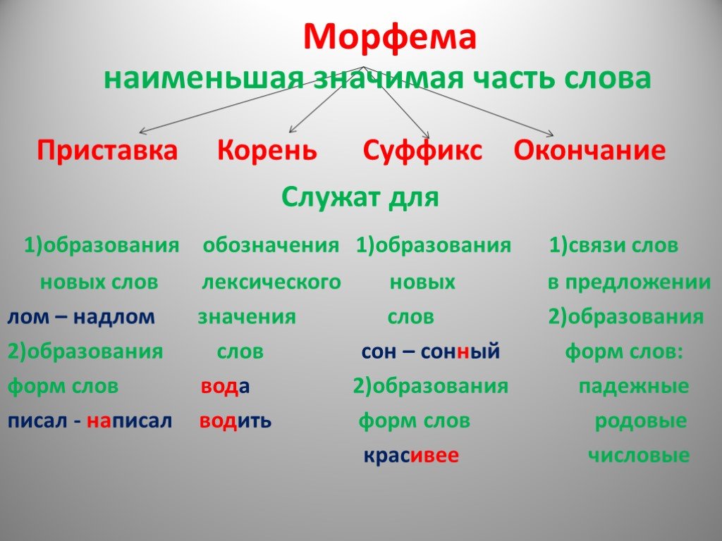 Строение русского слова презентация