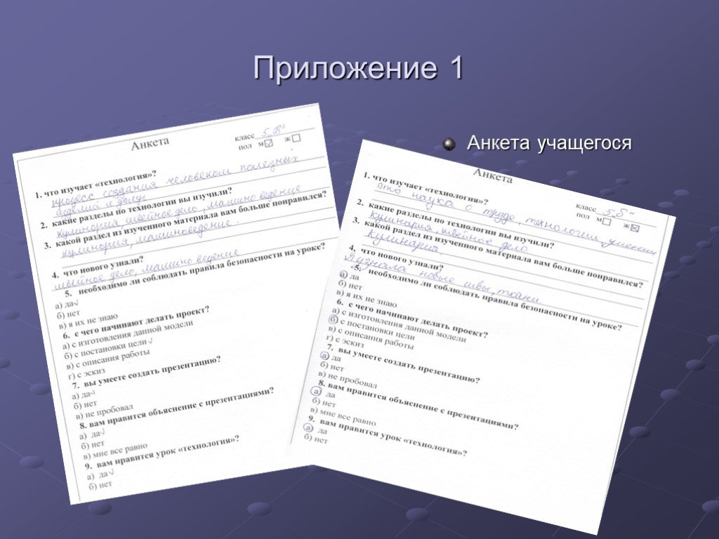 Приложение к проекту по технологии