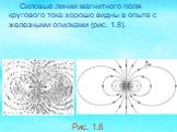 Силовые линии магнитного поля кругового тока хорошо видны в опыте с железными опилками (рис. 1.8). Рис. 1.8
