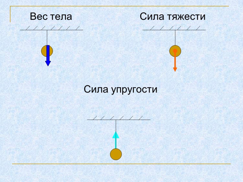 Сила тяжести и сила упругости. Сила упругости и сила тяжести. Сила тяжести упругости вес тела. Сила тяжести упругости вес. Сила упругости сила тяжестт.